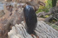 Polished Black Tourmaline Standing Free Form x 1 From Madagascar - Toprock Gemstones and Minerals 