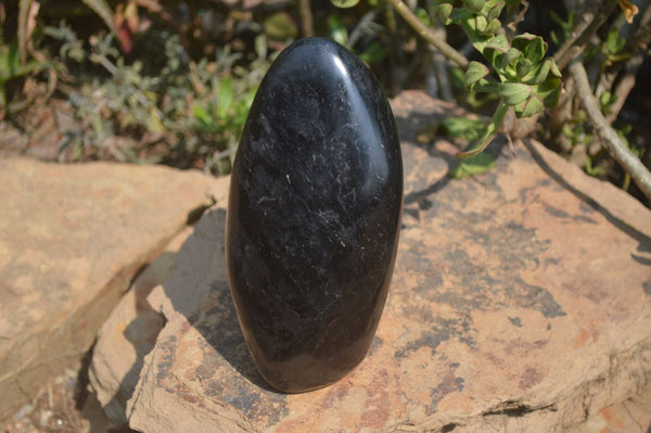 Polished Black Tourmaline Standing Free Form x 1 From Madagascar - Toprock Gemstones and Minerals 