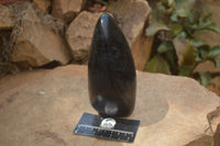 Polished Black Tourmaline Standing Free Form x 1 From Madagascar - Toprock Gemstones and Minerals 