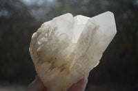 Natural White Quartz Clusters x 3 From Madagascar - Toprock Gemstones and Minerals 