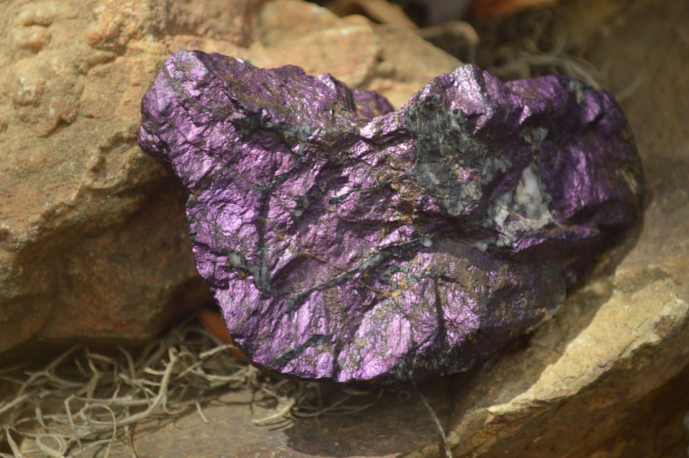Natural Metallic Purpurite Cobbed Specimens x 6 From Erongo, Namibia - Toprock Gemstones and Minerals 