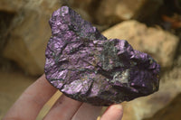 Natural Metallic Purpurite Cobbed Specimens x 6 From Erongo, Namibia - Toprock Gemstones and Minerals 