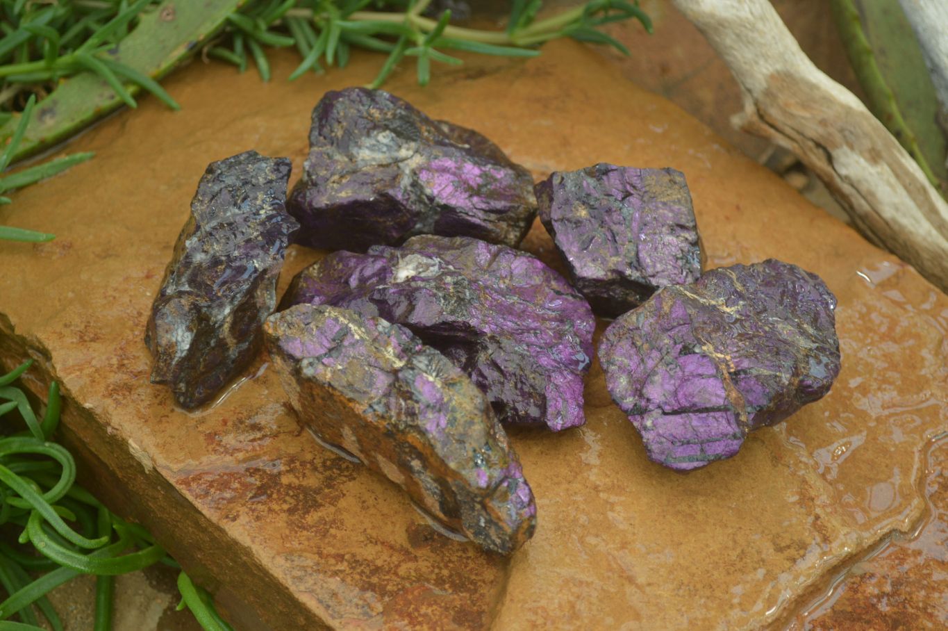 Natural Metallic Purpurite Cobbed Specimens x 6 From Erongo, Namibia - Toprock Gemstones and Minerals 