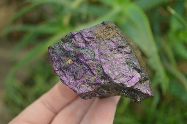 Natural Metallic Purpurite Cobbed Specimens x 6 From Erongo, Namibia - Toprock Gemstones and Minerals 