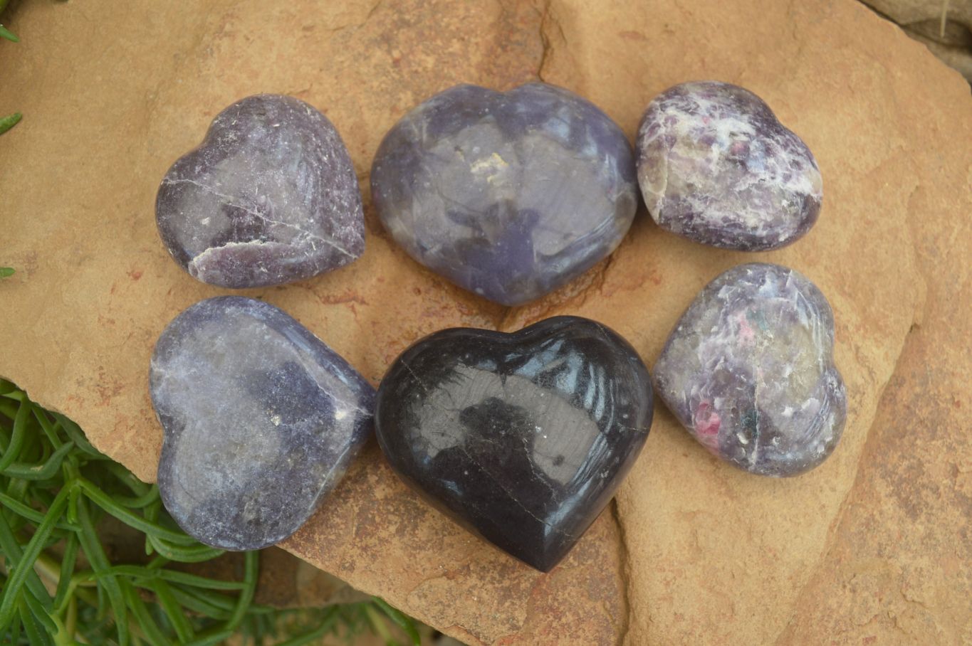 Polished Lepidolite with Pink Rubellite Gemstone Hearts x 6 From Madagascar - Toprock Gemstones and Minerals 
