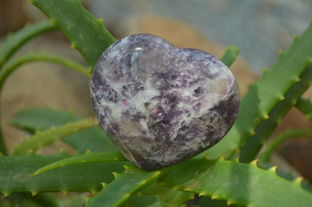 Polished Lepidolite with Pink Rubellite Gemstone Hearts x 6 From Madagascar - Toprock Gemstones and Minerals 