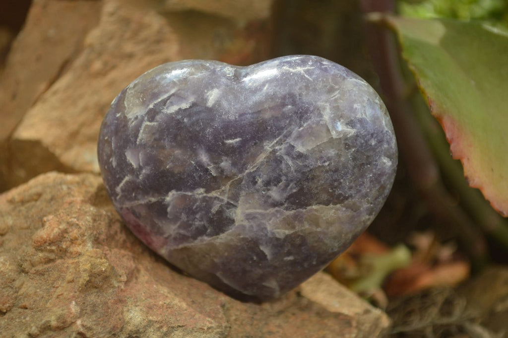 Polished Lepidolite with Pink Rubellite Gemstone Hearts x 6 From Madagascar - Toprock Gemstones and Minerals 