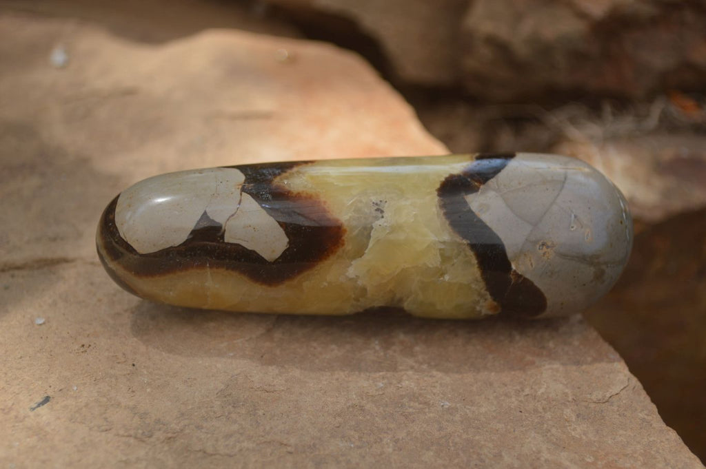 Polished Septerye Massage Wands x 6 From Madagascar - Toprock Gemstones and Minerals 