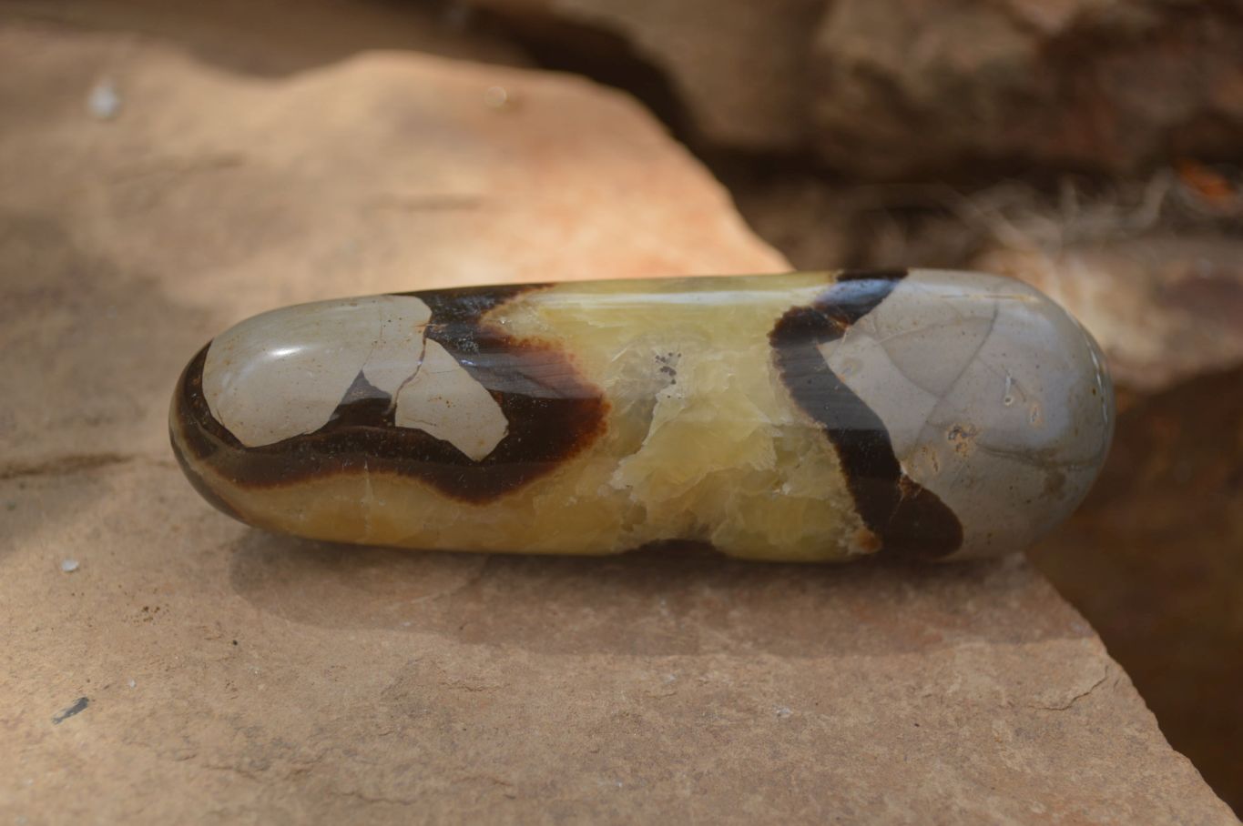 Polished Septerye Massage Wands x 6 From Madagascar - Toprock Gemstones and Minerals 