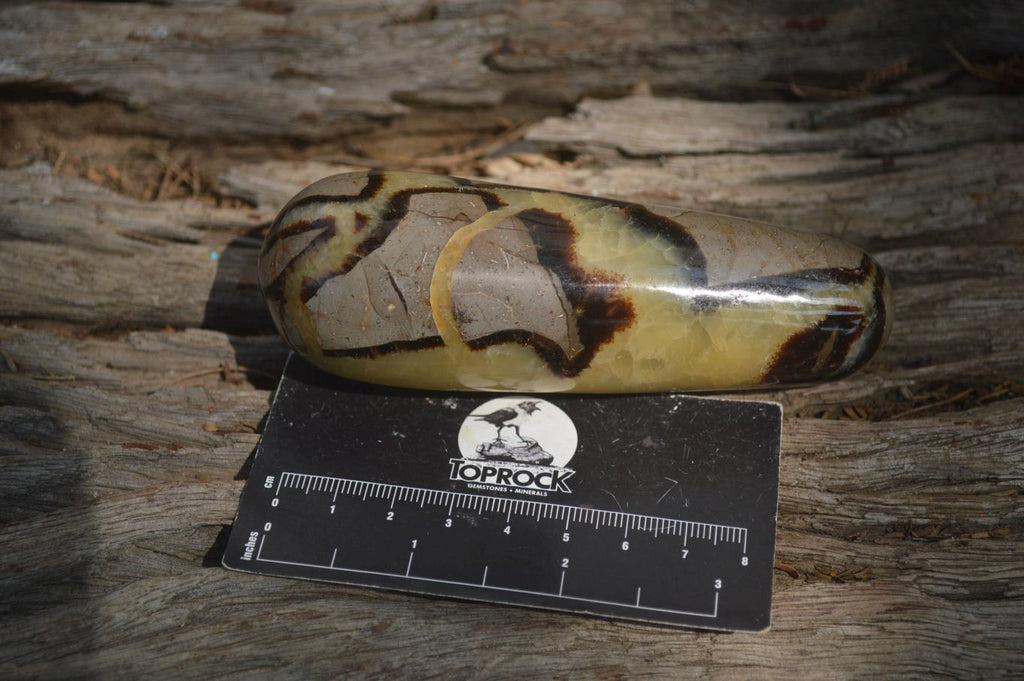 Polished Septerye Massage Wands x 6 From Madagascar - Toprock Gemstones and Minerals 