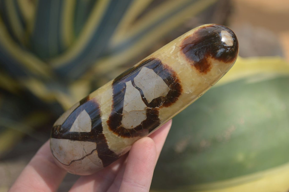 Polished Septerye Massage Wands x 6 From Madagascar - Toprock Gemstones and Minerals 