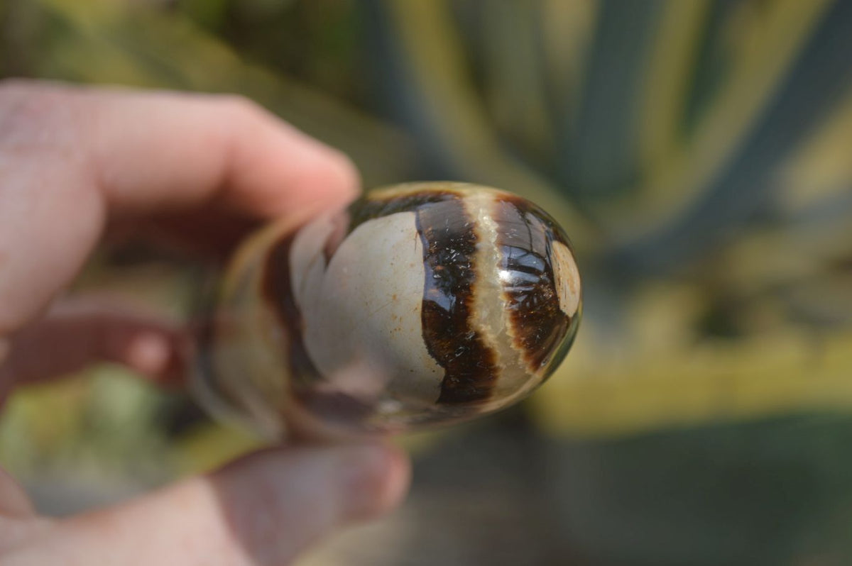 Polished Septerye Massage Wands x 6 From Madagascar - Toprock Gemstones and Minerals 