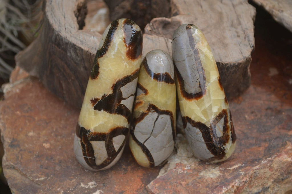 Polished Septerye Massage Wands x 6 From Madagascar - Toprock Gemstones and Minerals 