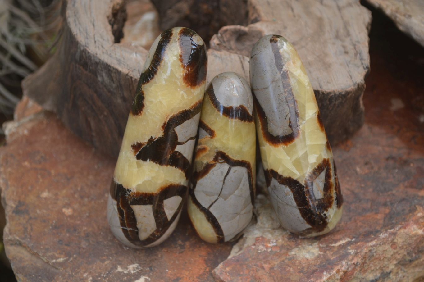 Polished Septerye Massage Wands x 6 From Madagascar - Toprock Gemstones and Minerals 