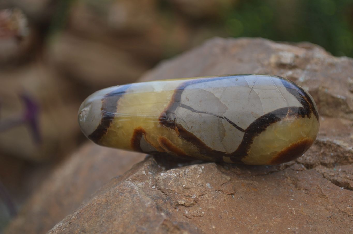 Polished Septerye Massage Wands x 6 From Madagascar - Toprock Gemstones and Minerals 