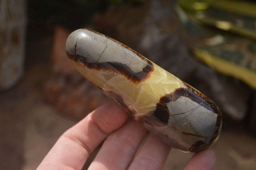 Polished Septerye Massage Wands x 6 From Madagascar - Toprock Gemstones and Minerals 