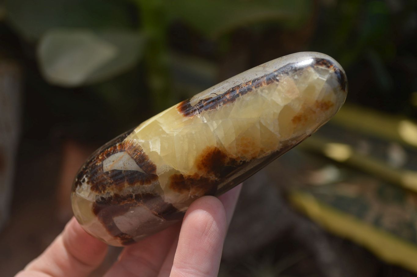 Polished Septerye Massage Wands x 6 From Madagascar - Toprock Gemstones and Minerals 