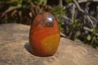 Polished Red Jasper Standing Free Forms x 6 From Madagascar - Toprock Gemstones and Minerals 