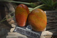 Polished Red Jasper Standing Free Forms x 6 From Madagascar - Toprock Gemstones and Minerals 