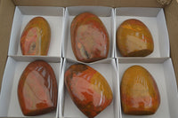 Polished Red Jasper Standing Free Forms x 6 From Madagascar - Toprock Gemstones and Minerals 