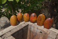Polished Red Jasper Standing Free Forms x 6 From Madagascar - Toprock Gemstones and Minerals 