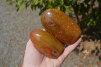 Polished Red Jasper Standing Free Forms x 6 From Madagascar - Toprock Gemstones and Minerals 