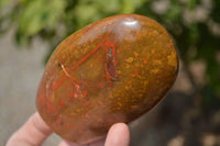 Polished Red Jasper Standing Free Forms x 6 From Madagascar - Toprock Gemstones and Minerals 