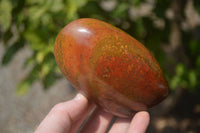 Polished Red Jasper Standing Free Forms x 6 From Madagascar - Toprock Gemstones and Minerals 