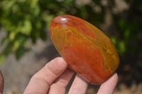 Polished Red Jasper Standing Free Forms x 6 From Madagascar - Toprock Gemstones and Minerals 