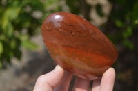 Polished Red Jasper Standing Free Forms x 6 From Madagascar - Toprock Gemstones and Minerals 