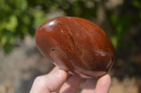 Polished Red Jasper Standing Free Forms x 6 From Madagascar - Toprock Gemstones and Minerals 