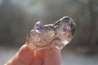 Natural Smokey Amethyst Crystals x 20 From Chiredzi, Zimbabwe - Toprock Gemstones and Minerals 