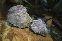 Natural Stichtite Specimens x 6 From Barberton, South Africa - Toprock Gemstones and Minerals 