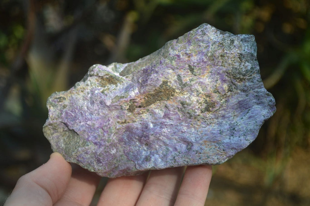 Natural Stichtite Specimens x 6 From Barberton, South Africa - Toprock Gemstones and Minerals 