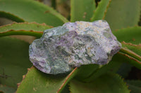 Natural Stichtite Specimens x 6 From Barberton, South Africa - Toprock Gemstones and Minerals 