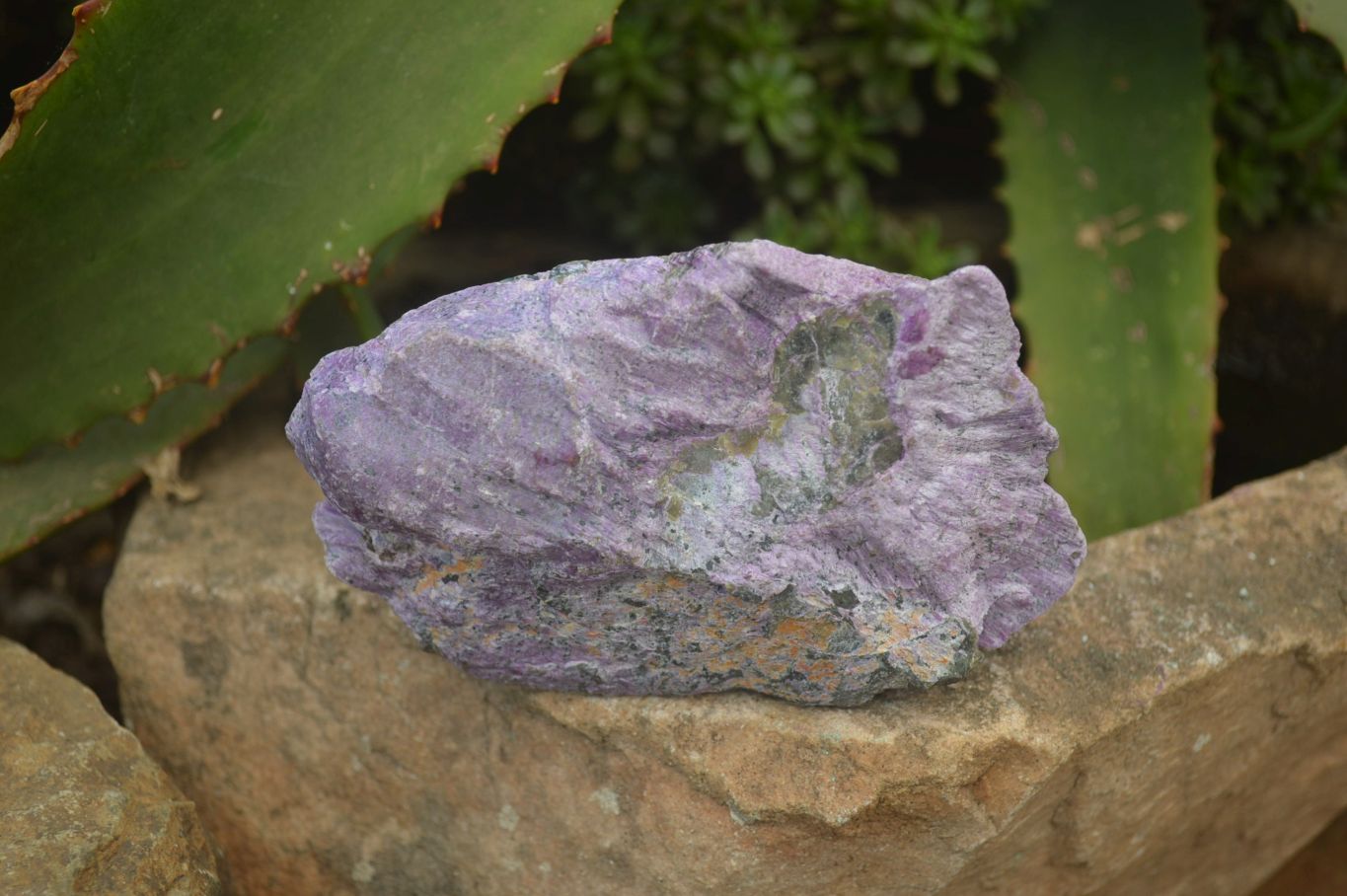 Natural Stichtite Specimens x 6 From Barberton, South Africa - Toprock Gemstones and Minerals 