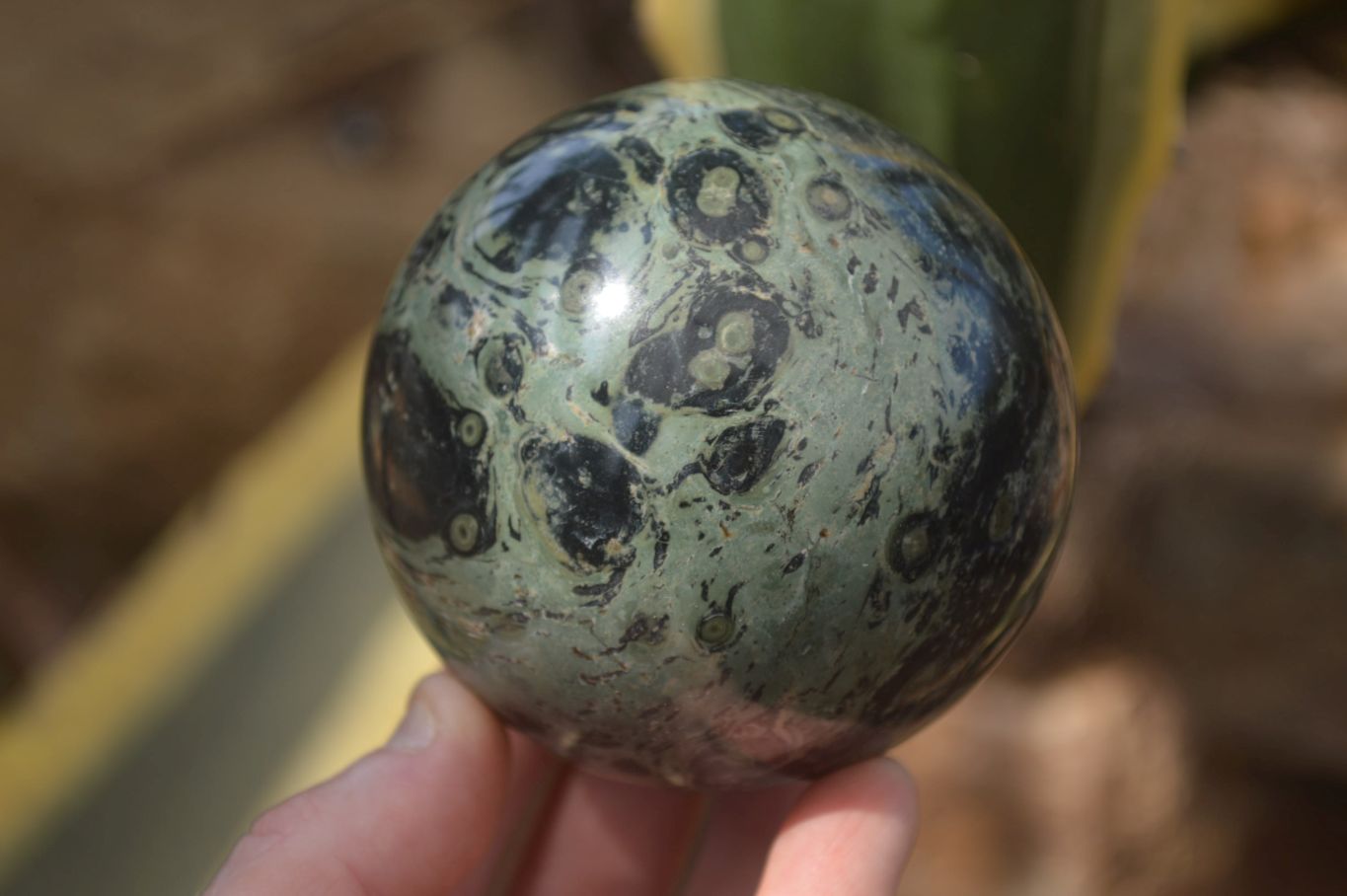 Polished Stromatolite Jasper Spheres x 2 From Madagascar - Toprock Gemstones and Minerals 