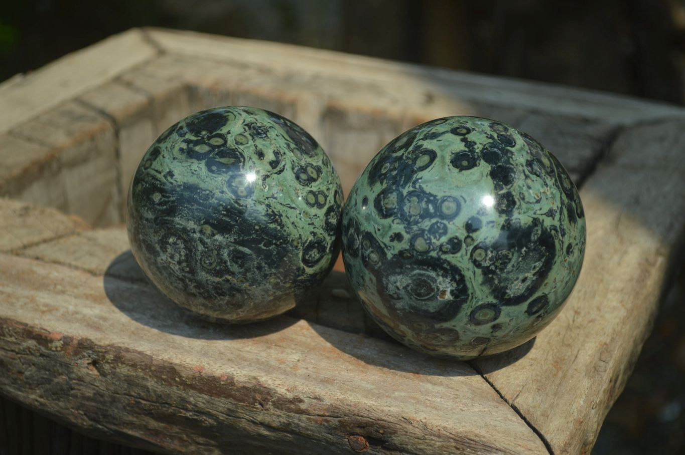 Polished Stromatolite Jasper Spheres x 2 From Madagascar - Toprock Gemstones and Minerals 