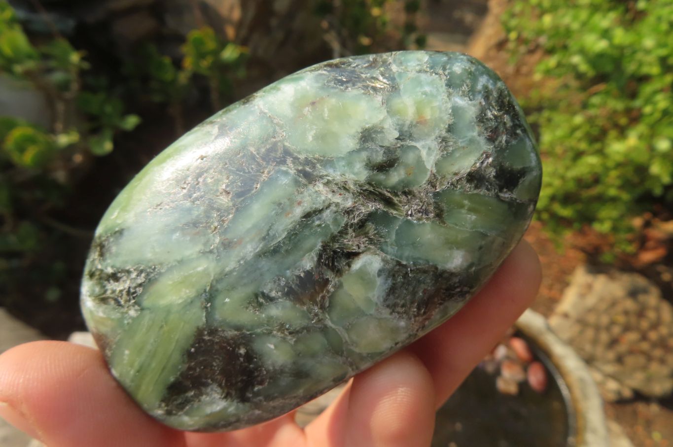 Polished Rare Emerald Mica In Matrix Free Forms x 6 From Mutoko, Zimbabwe - Toprock Gemstones and Minerals 