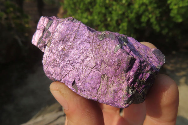 Natural Metallic Purpurite Cobbed Specimens x 12 From Erongo, Namibia - Toprock Gemstones and Minerals 