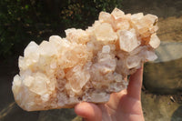 Natural Quartz Crystal Clusters x 2 From Madagascar - Toprock Gemstones and Minerals 