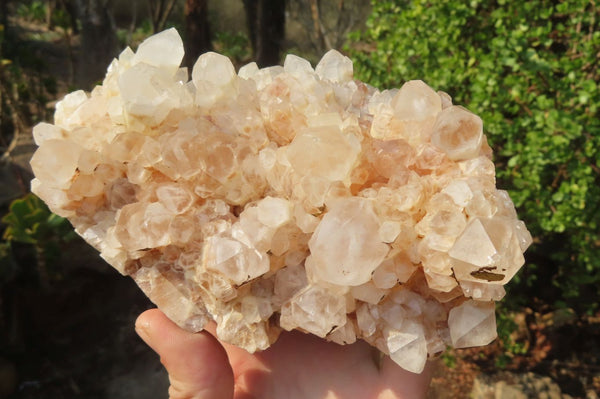 Natural Quartz Crystal Clusters x 2 From Madagascar - Toprock Gemstones and Minerals 