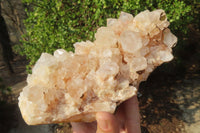 Natural Quartz Crystal Clusters x 2 From Madagascar - Toprock Gemstones and Minerals 