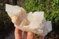 Natural Quartz Crystal Clusters x 2 From Madagascar - Toprock Gemstones and Minerals 