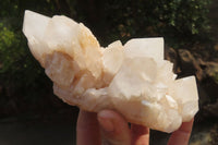 Natural Quartz Crystal Clusters x 2 From Madagascar - Toprock Gemstones and Minerals 
