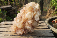 Natural Quartz Crystal Clusters x 2 From Madagascar - Toprock Gemstones and Minerals 