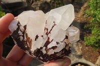 Natural Window Quartz Specimens x 6 From Madagascar - Toprock Gemstones and Minerals 