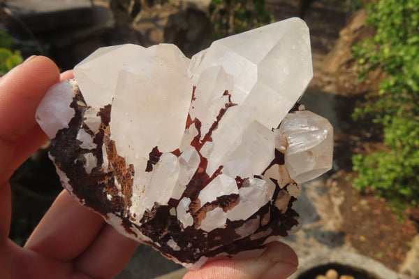 Natural Window Quartz Specimens x 6 From Madagascar - Toprock Gemstones and Minerals 