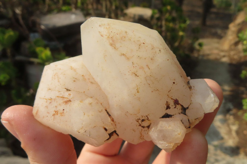 Natural Window Quartz Specimens x 6 From Madagascar - Toprock Gemstones and Minerals 