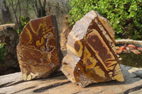 Polished On One Side Nguni Jasper Specimens x 2 From Prieska, South Africa - Toprock Gemstones and Minerals 